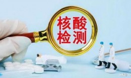 核酸检测最新爆料,揭秘最新爆料背后的科学真相