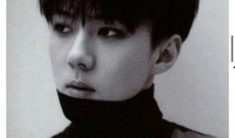 韩网最新爆料吴世勋视频,韩网热议背后的故事揭秘！