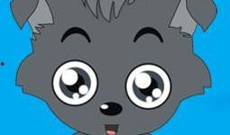 何小灰灰最新爆料,揭秘娱乐圈惊人内幕