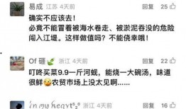 最新爆料集锦视频下载安装,视频下载安装全攻略