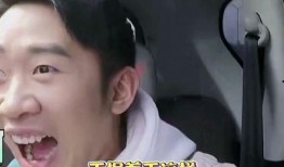 爆料明星八卦解说大全最新,揭秘最新明星八卦大揭秘